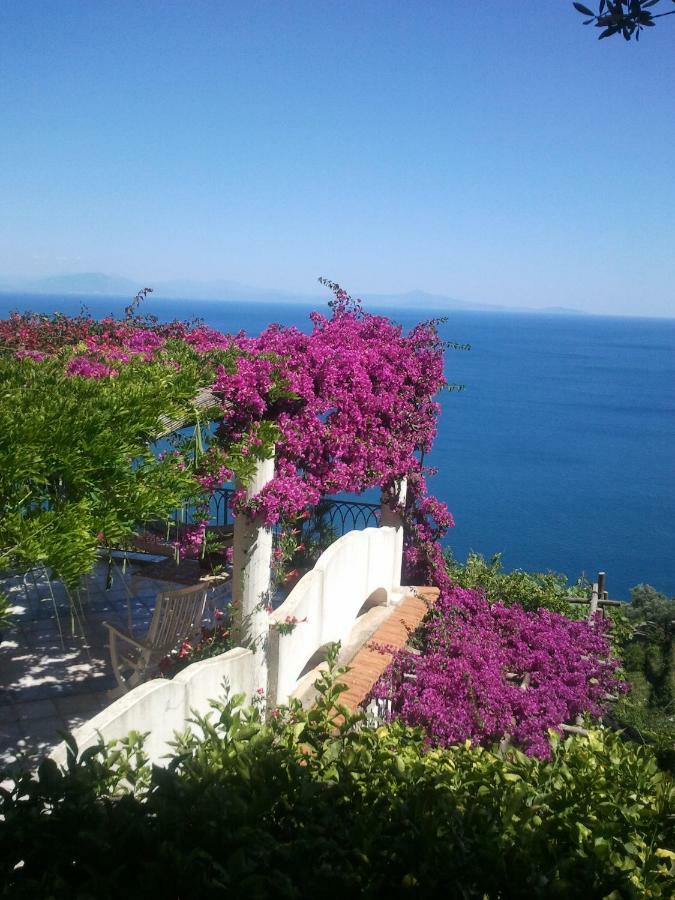 Suite I Limoni Ravello Exterior foto